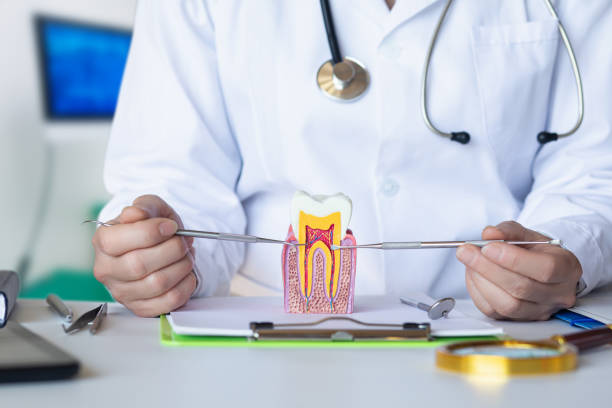 Best Emergency Orthodontic Services in Bangor Base, WA
